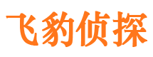 柳州市私家侦探